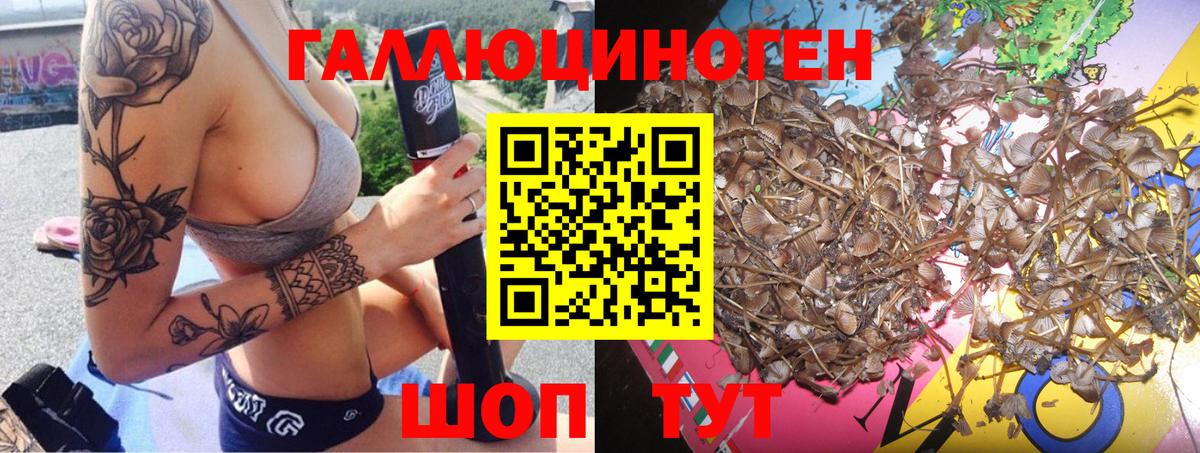Псилоцибиновые грибы MAGIC MUSHROOMS Моздок