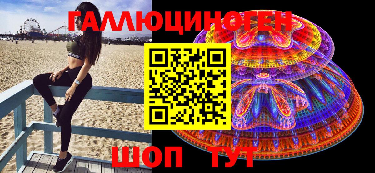 даркнет сайт  Галлюциногенные грибы Psilocybe  Вход с VPN  Галлюциногенные грибы Cubensis  Моздок 